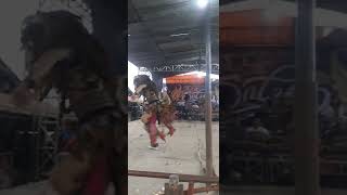 Download lagu buto gedruk saleho 86#celanapendek#celanapendek#celana pendek mp3 Download lagu buto gedruk saleho 86#celanapendek#celanapendek#celana pendek mp3