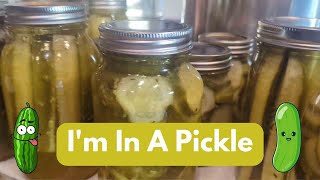 Canning Pickles | Dill Pickles | Water Bath Canning
