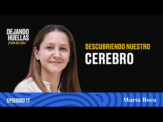 Vídeo relacionado con Descubriendo el cerebro 2