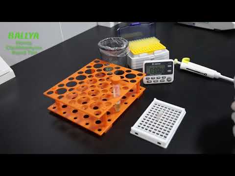 Eucalyptus Honey-Clarithromycin Rapid Test Dipsticks