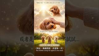 約定換個模樣，再愛妳一次