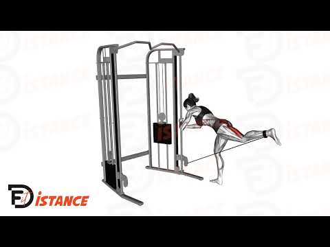 Kickback à la poulie basse - Exercice Kickback à la poulie basse en vidéo Kickback à la poulie basse - Exercice Kickback à la poulie basse en vidéo