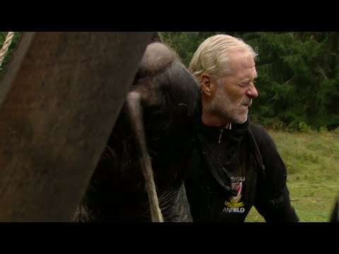 Farmen-Samir "hjälper" till  – Farmen VIP (TV4)