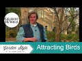 Attracting Birds to the Garden | Garden Style (604)