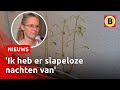 Boompjes groeien uit woonkamervloer | Omroep Brabant