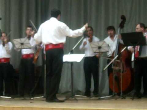 Orchestra Rapsodia Bihoreana