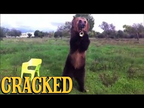 The 6 Most Mind-Blowing Twist Endings Hiding on YouTube | Spit Take Theater