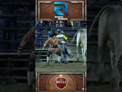 Ibitiura de Minas -MG