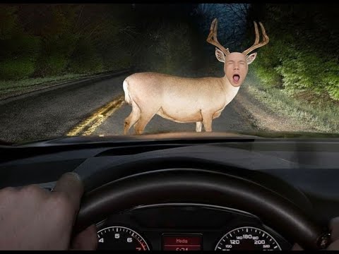 Dawg reacts to an Instagram reel poser alert, exactly why gatekeeping is 666% necessary.