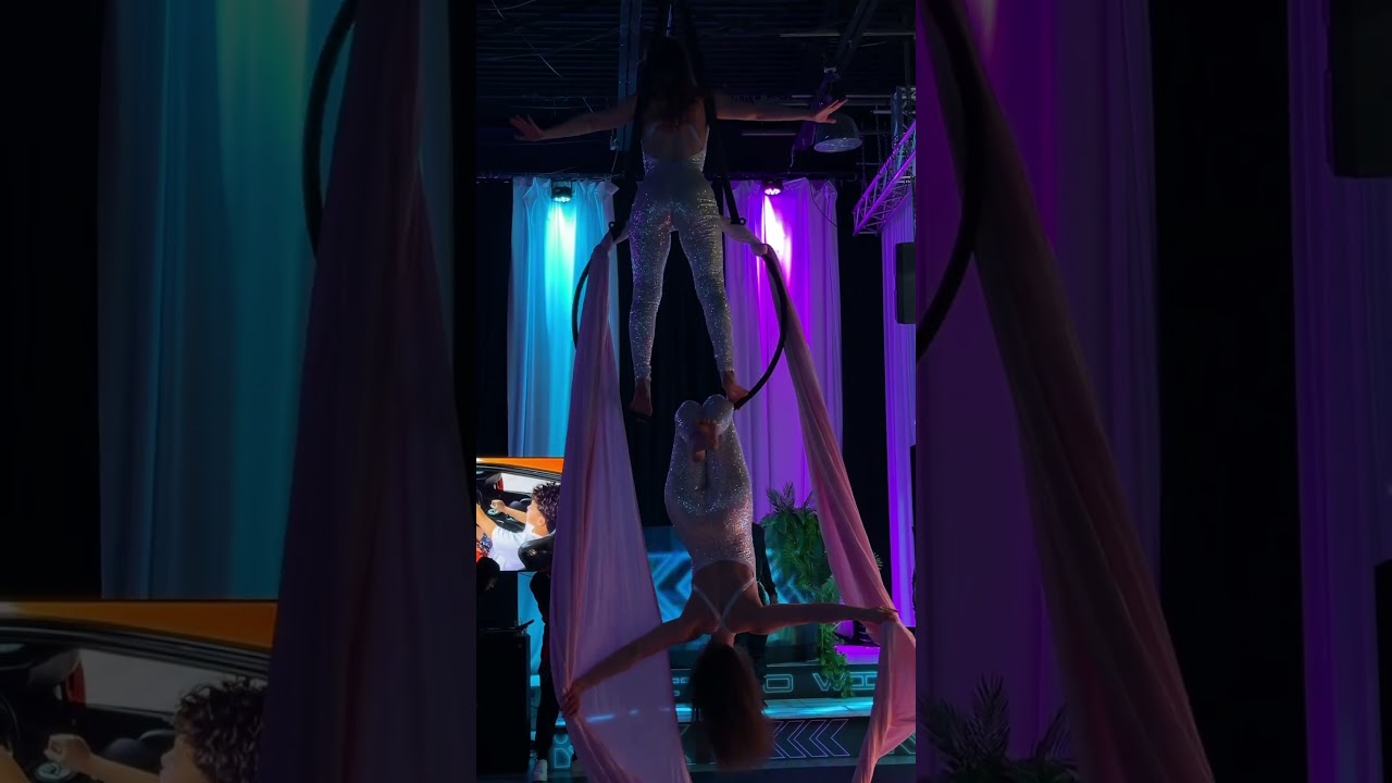 Promotional video thumbnail 1 for Elevated Maidens