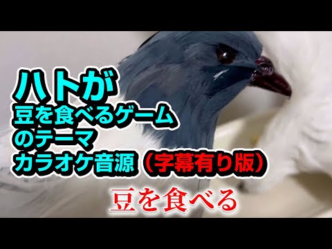 ڥ饪 ͭۥϥȤƦ򿩤٤륲Υơޡʥܡ̵ΤäƤߤƤ