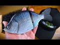 Video Thumbnail for Unboxing A Fishy Artwork - OUT4FISH Custom Swimbait
