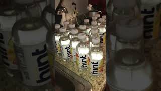 Walgreens final Haul Hint water 90% Sale Walgreens was awesomeness