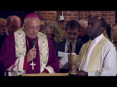 Bishop Dimarzio Accused