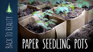 Square Paper Seedling Pots - Quick, Easy, and Biodegradable