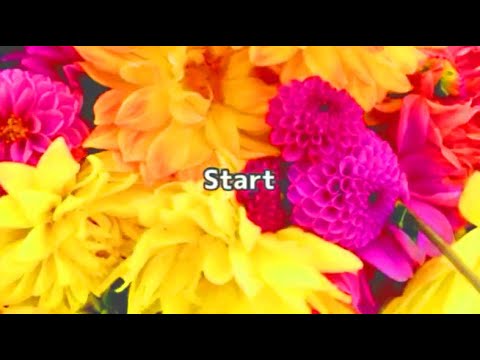 2022年度 卒業制作ショー（和洋女子大学 服飾造形学科）