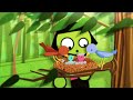 PBS Kids Birds 2008 2013