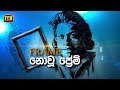 nomiyena-sihinaya-23-03-2018