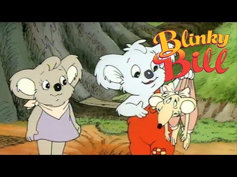 Blinky Bill - Episode 26 - Blinky Bill's Wedding Picnic