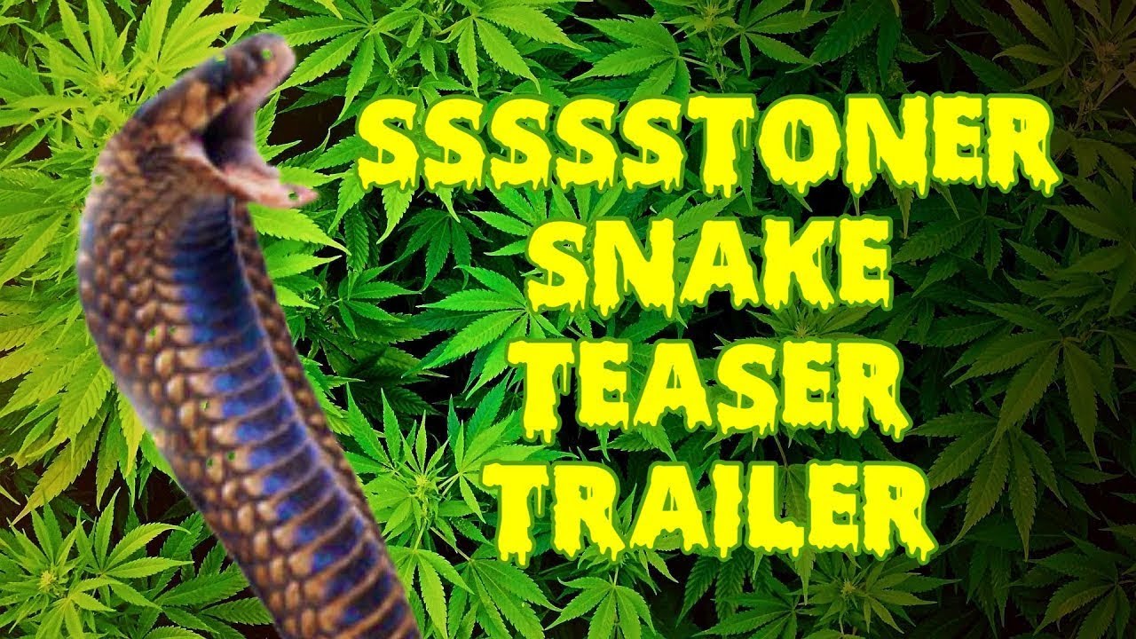 Miniature de la vidéo Ssssstoner Snake (2025) Official Teaser Trailer #1 (low budget horror comedy) du film Ssssstoner Snake