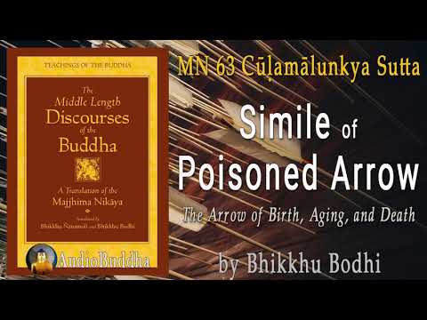 The Shorter Discourse to Malunkyaputta: Simile of The Poisoned Arrow