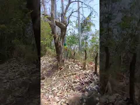 camino a jayaque la libertad oeste   El Salvador