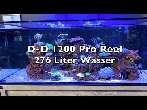 DD 1200 Pro Reef Aquarium Meerwasser - Arka Core Abschäumer - ClariSea SK 5000 Eheim UV  Schaubecken