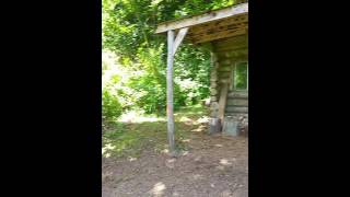 11 acre house part 2