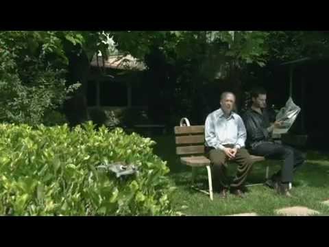 Father, Son and Sparrow