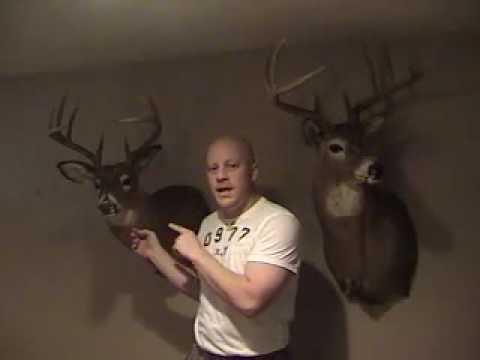 150 Inch Deer IMB Outfitters