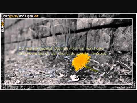 & wenn ich dir 'ichLiebeDich' sag, ist das nicht gelogen.