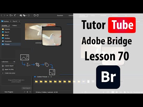 Adobe Bridge Lesson 1 Adobe Bridge Interface