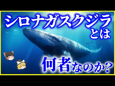 リダイレクトアイコン