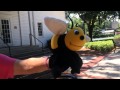 Bonnie S Puppet Palace In Central Florida Windermere Farmer S Market