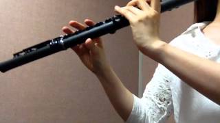 Gerald Albright - Slam Dunk Flute Version