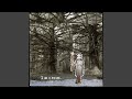 Up Tree, River Down/Wilhelmus Cominatcha