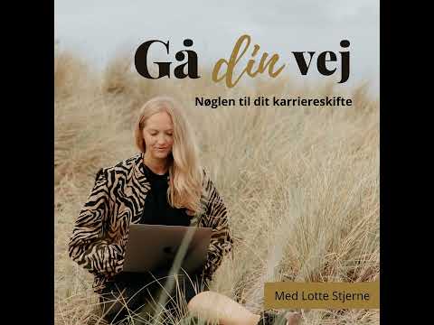 Ep15 - [Test dig selv] - skal du sige op?