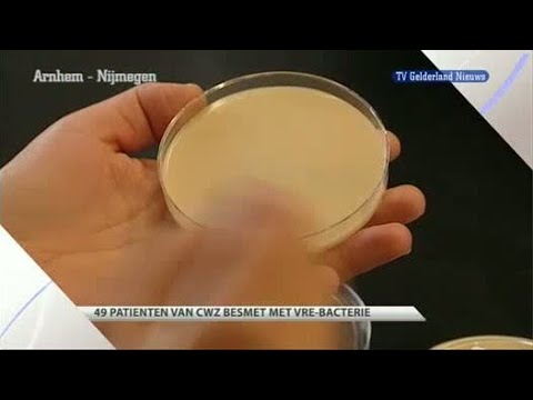 GLD Nieuws 14 juni 2012 - Nieuws