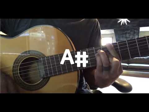 SHADMEHR AGHILI Vaghti Ke Bad Misham Chords