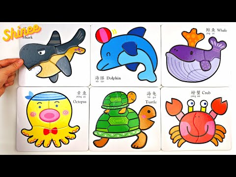 Learn Sea Animal Names with Activity Puzzle | Preschool Learning Video for Kids & Toddlers
