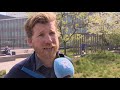 Bijzondere wespensoort ontdekt op Rotterdams dak