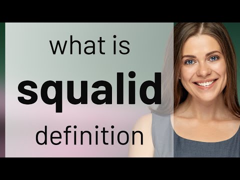 Squalid | what is SQUALID meaning