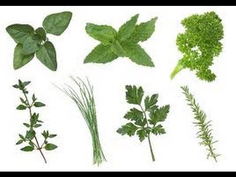 How To Save Fresh Herbs - Quick Tip (#220)