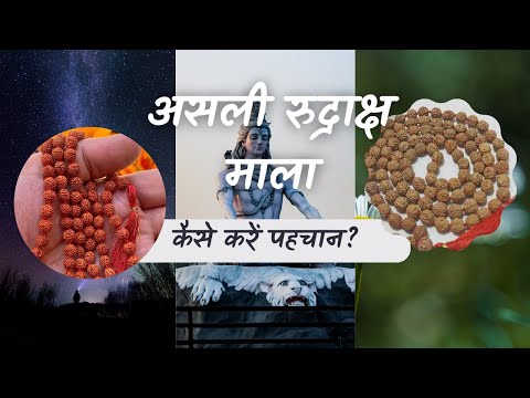 How to check Original Rudraksha Mala is real or not | Rudraksha Jaapa Mala test