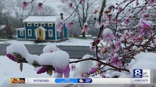 Kucko's Camera: Two seasons in one in Ithaca — April 19, 2022