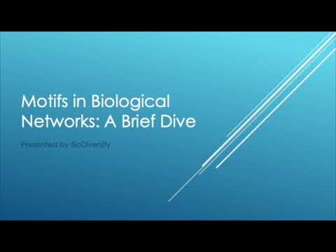 Motifs in Biological Networks: A Brief Dive
