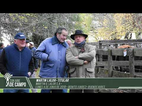 Martín Lalor - Martín G. Lalor S.A. - Lunes 04 de junio de 2018 - B.Juárez