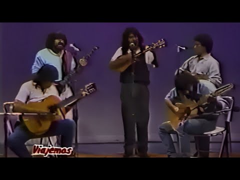 Llanera Altiva | Altiplano de Chile