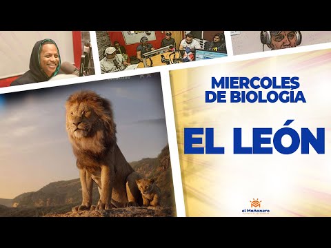 El LEÓN - Miercoles de Biología (Ariel Santana)