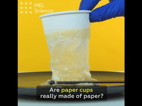 Chai giấy không còn là ý tưởng trên giấy | VOZ